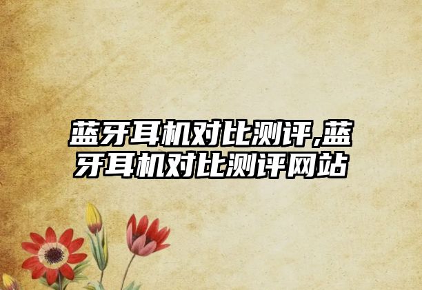 藍(lán)牙耳機對比測評,藍(lán)牙耳機對比測評網(wǎng)站