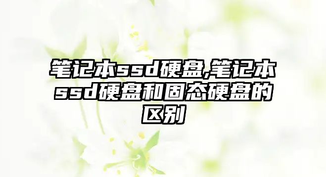 筆記本ssd硬盤,筆記本ssd硬盤和固態(tài)硬盤的區(qū)別