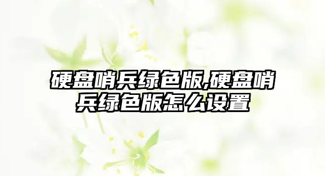 硬盤哨兵綠色版,硬盤哨兵綠色版怎么設(shè)置