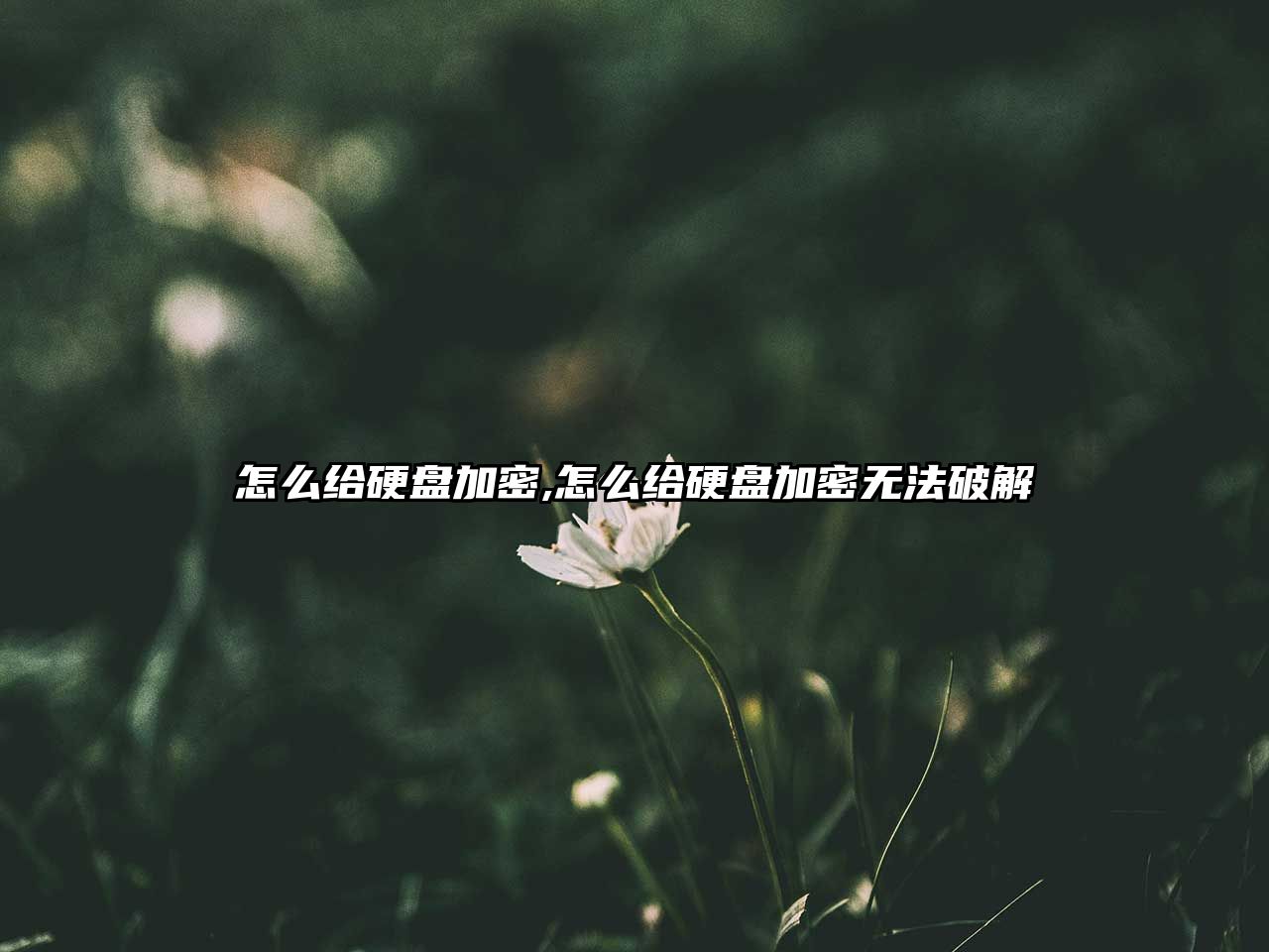 怎么給硬盤加密,怎么給硬盤加密無法破解