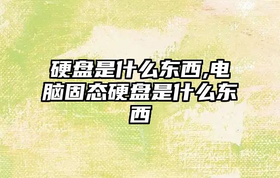 硬盤(pán)是什么東西,電腦固態(tài)硬盤(pán)是什么東西