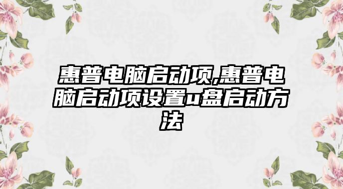 惠普電腦啟動項,惠普電腦啟動項設置u盤啟動方法