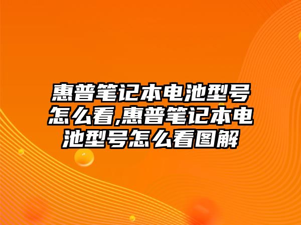 惠普筆記本電池型號怎么看,惠普筆記本電池型號怎么看圖解