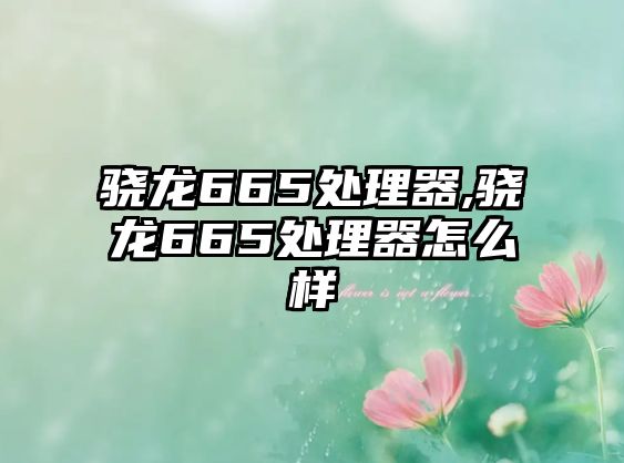 玉翠科技網(wǎng)