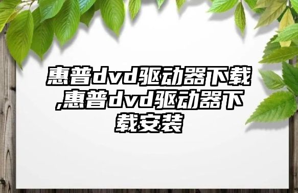 惠普dvd驅(qū)動器下載,惠普dvd驅(qū)動器下載安裝