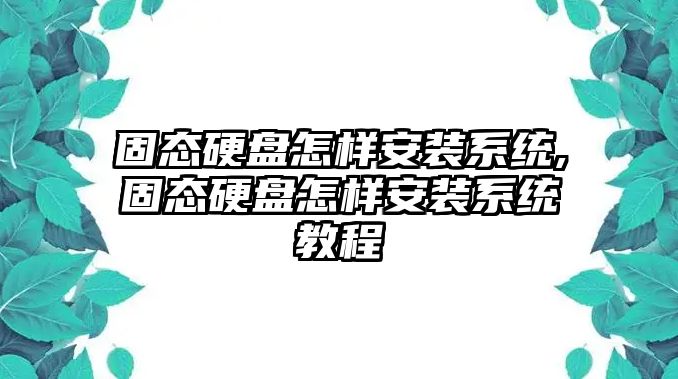 固態(tài)硬盤怎樣安裝系統(tǒng),固態(tài)硬盤怎樣安裝系統(tǒng)教程