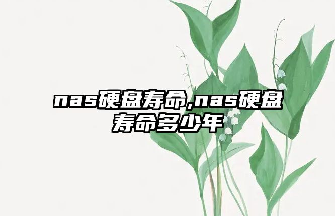 nas硬盤(pán)壽命,nas硬盤(pán)壽命多少年